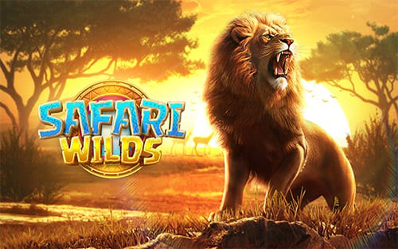 Safari Wilds